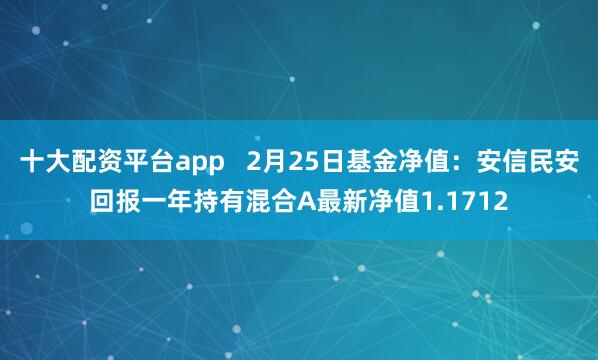 十大配资平台app   2月25日基金净值：安信民安回报一年持有混合A最新净值1.1712